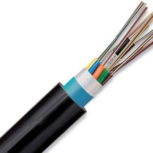 Armored Fiber Optic Cable (100mtr)
